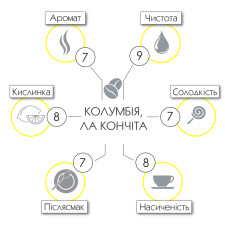 Колумбія Антіокія, Медельїн, фінка Ла Кончіта