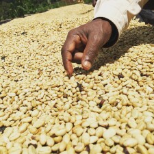 Ефіопія, Ґуджі, Шакісо Вісі